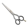Фризьорска ножица Pre Style Ergo 5,5" / 14 см