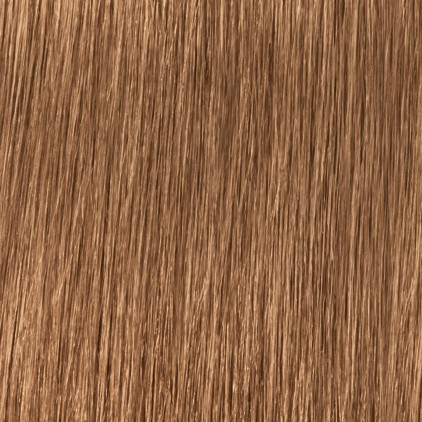 Indola Profession PR LIT BEIGE BLD 8.32 - златисто перлено светло-русо - 60 ml