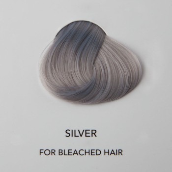 Directions Silver - 89 ml