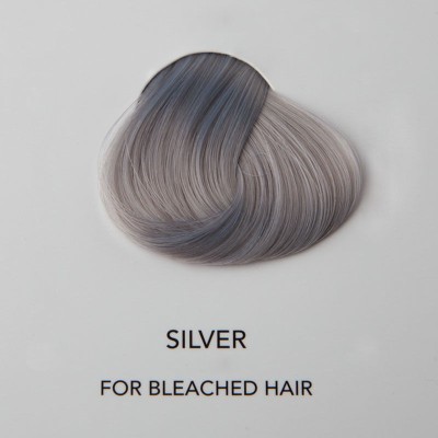 Directions Silver - 89 ml
