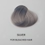 Directions Silver - 89 ml