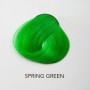 Directions Spring Green - 89 ml
