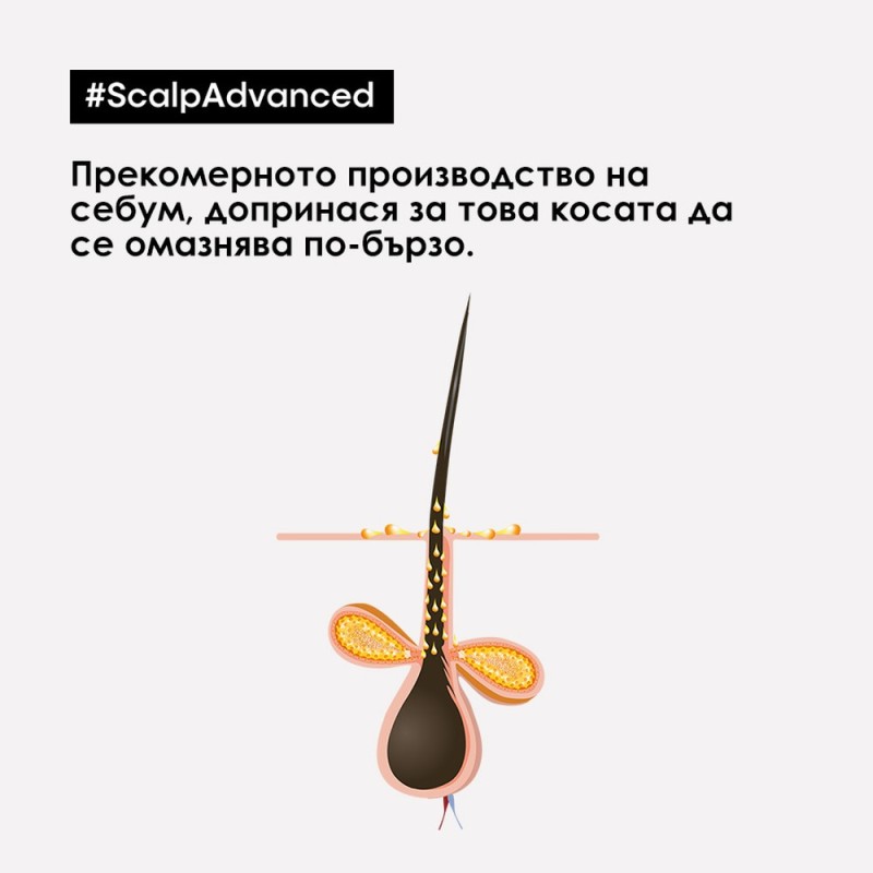 Anti-Oiliness - Шампоан, подходящ за скалп, склонен към омазняване - 1000 ml Anti-Oiliness - Шампоан, подходящ за скалп, склонен към омазняване - 1000 ml